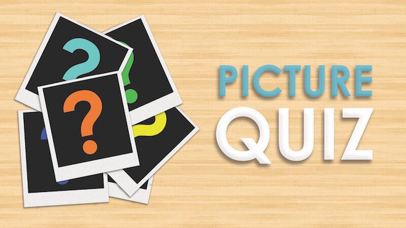 Picture Quiz Vol. 2